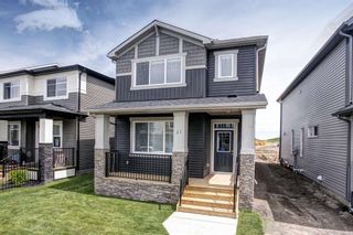 Photo 40: 31 Legacy Glen Manor in Calgary: Legacy Detached for sale : MLS®# A1193901