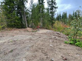 Photo 11: 292 Terry Road, in Enderby: Vacant Land for sale : MLS®# 10239679
