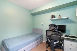 Photo 17: 4207 115 Prestwick Villas SE in Calgary: McKenzie Towne Apartment for sale : MLS®# A2076074