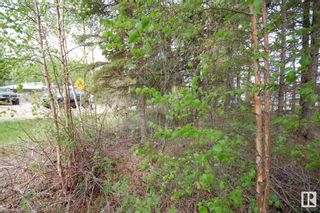 Photo 5: 3 3016 TWP Rd 572: Rural Lac Ste. Anne County Rural Land/Vacant Lot for sale : MLS®# E4293694