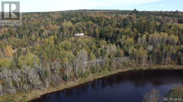Main Photo: 895 Route 148 in Taymouth: Vacant Land for sale : MLS®# NB093726