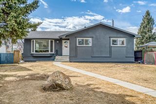 Main Photo: 159 Marlyn Place NE in Calgary: Marlborough Detached for sale : MLS®# A1201224