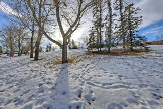 Photo 48: 2424 58 Avenue SW in Calgary: North Glenmore Park Detached for sale : MLS®# A2098169