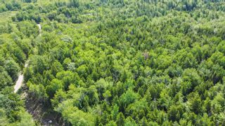 Photo 27: Lot Broad Lake Road in New Albany: Annapolis County Vacant Land for sale (Annapolis Valley)  : MLS®# 202215556