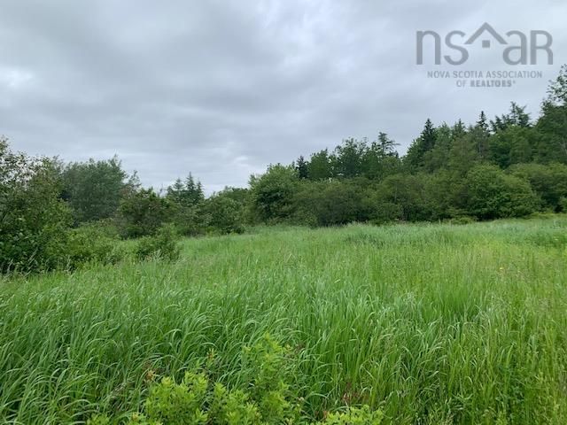 Main Photo: VL 242 Highway in Strathcona: 102S-South of Hwy 104, Parrsboro Vacant Land for sale (Northern Region)  : MLS®# 202214324