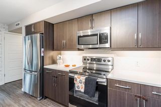 Photo 9: 202 545 Dale Boulevard in Winnipeg: Charleswood Condominium for sale (1H)  : MLS®# 202328537