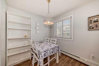 Photo 9: 2 645 Meredith Road NE in Calgary: Bridgeland/Riverside Apartment for sale : MLS®# A2130538