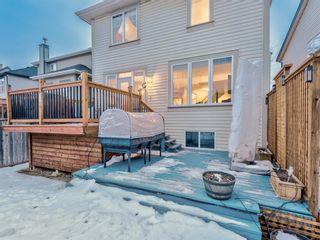Photo 42: 548 Copperfield Boulevard SE in Calgary: Copperfield Detached for sale : MLS®# A1062207