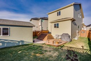 Photo 19: 115 SKYVIEW SPRINGS Gardens NE in Calgary: Skyview Ranch Detached for sale : MLS®# A1035316