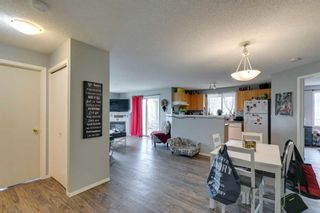 Photo 4: 219 3000 Citadel Meadow Point NW in Calgary: Citadel Apartment for sale : MLS®# A2130196