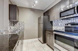 Photo 6: 2305 1317 27 Street SE in Calgary: Albert Park/Radisson Heights Apartment for sale : MLS®# A1060518