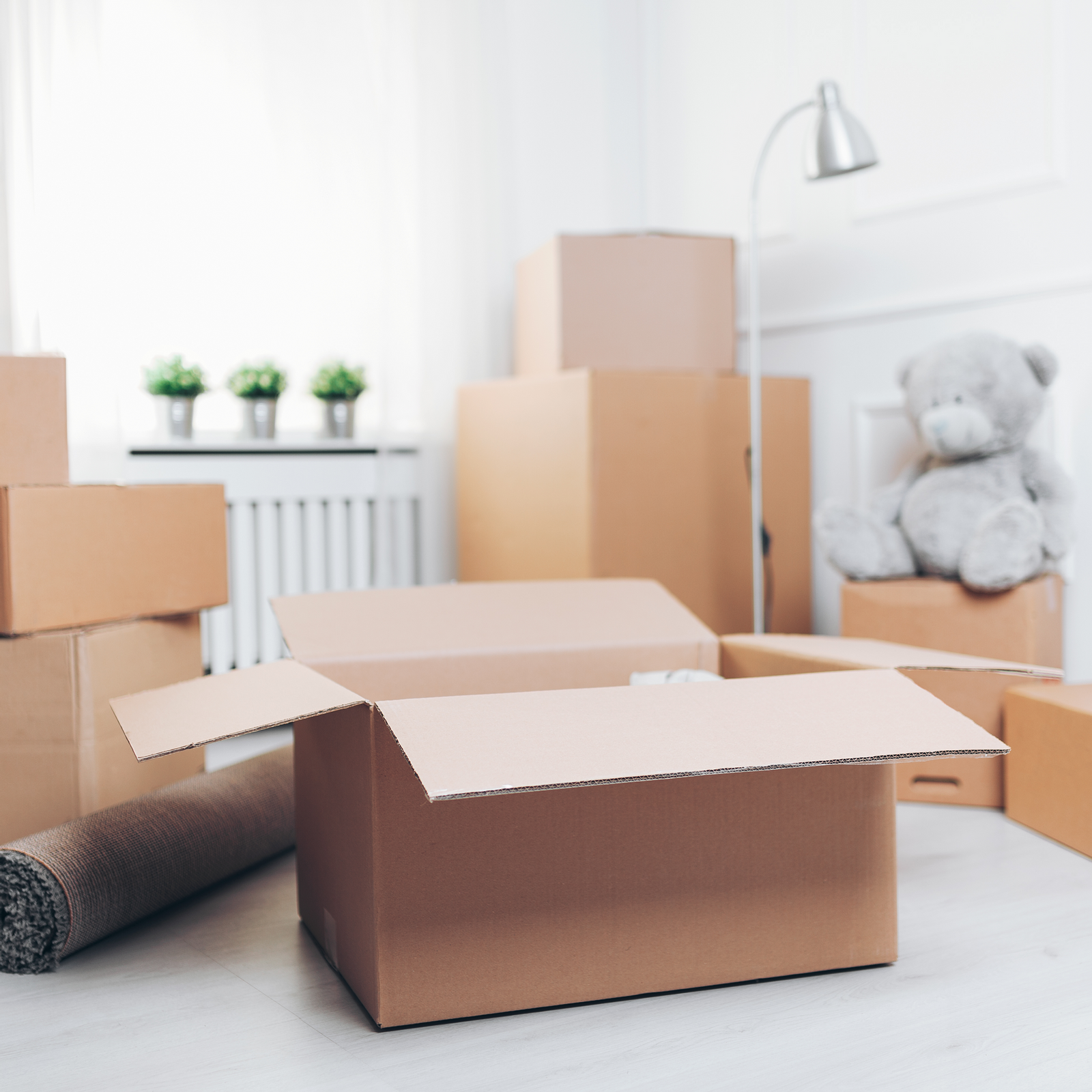 4 Things You Need to Know Before You Move