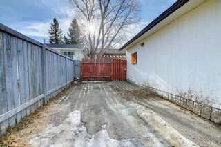 Photo 46: 5028 Marlborough Drive NE in Calgary: Marlborough Detached for sale : MLS®# A1174616