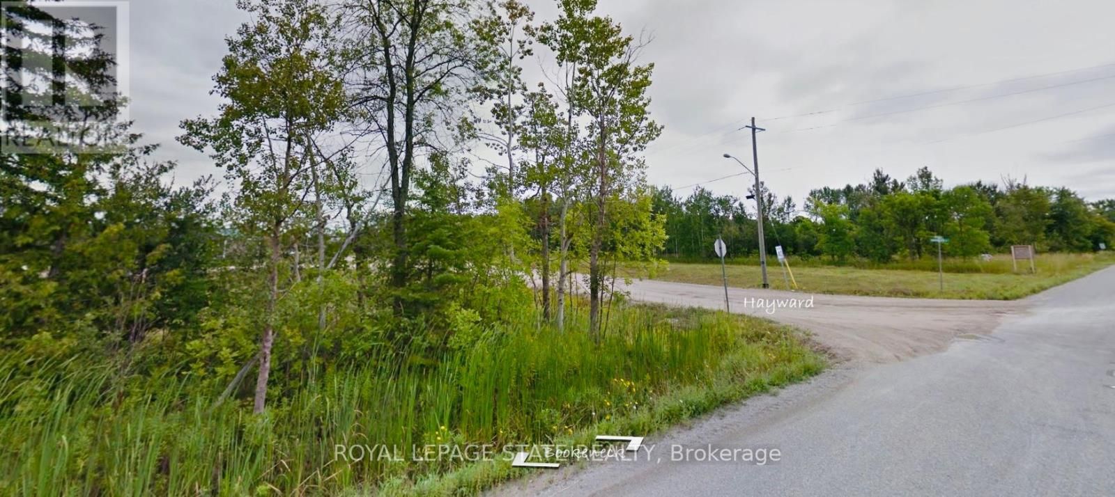 Main Photo: 129 HAYWARD ST in Northeastern Manitoulin and: Vacant Land for sale : MLS®# X8056700