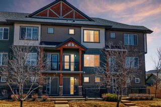 Photo 48: 248 Skyview Ranch Way NE in Calgary: Skyview Ranch Row/Townhouse for sale : MLS®# A2124749