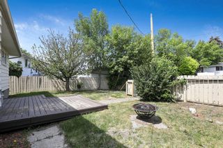 Photo 20: 3304 Doverthorn Way SE in Calgary: Dover Detached for sale : MLS®# A2053383