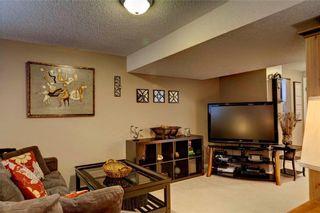 Photo 17: 110 DEERFIELD Terrace SE in Calgary: Deer Ridge House for sale : MLS®# C4123944