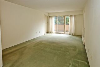 Photo 2: 204 1260 W 10TH Avenue in Vancouver: Fairview VW Condo for sale in "LABELLE COURT" (Vancouver West)  : MLS®# R2615992