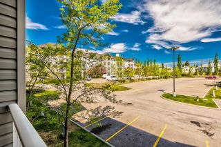 Photo 28: 3209 1620 70 Street SE in Calgary: Applewood Park Apartment for sale : MLS®# A1116068