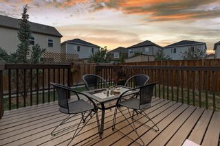 Photo 42: 185 Windford Rise SW: Airdrie Detached for sale : MLS®# A1256977