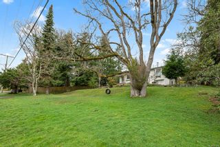 Photo 46: 961 Lakeview Ave in Saanich: SE High Quadra House for sale (Saanich East)  : MLS®# 927089