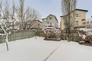 Photo 31: 177 Citadel Estates Terrace NW in Calgary: Citadel Detached for sale : MLS®# A2125289