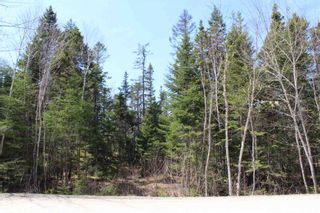 Photo 4: 88 Otter Point in East Chester: 405-Lunenburg County Vacant Land for sale (South Shore)  : MLS®# 202119232