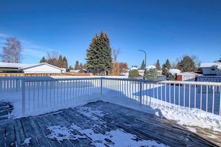 Photo 39: 15 Oxbow Street: Red Deer Detached for sale : MLS®# A2011608