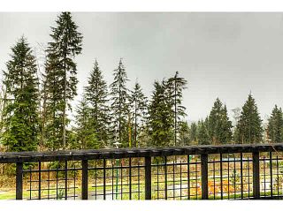 Photo 20: 82 1320 RILEY Street in Coquitlam: Burke Mountain Townhouse for sale in "RILEY BY MOSAIC" : MLS®# V1095086