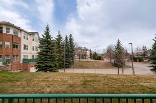 Photo 24: 129 1920 14 Avenue NE in Calgary: Mayland Heights Apartment for sale : MLS®# A2119757