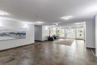 Photo 2: 115 2211 29 Street SW in Calgary: Killarney/Glengarry Apartment for sale : MLS®# A2074937