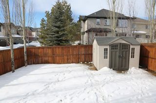 Photo 22: 84 Cranfield Manor SE in Calgary: Cranston Detached for sale : MLS®# A1073442