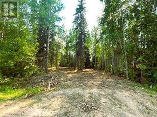 Photo 5: 931 Wolf Trail in Sandy Lake: Vacant Land for sale : MLS®# A2063552