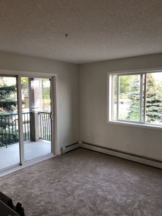 Photo 9: 228, 11325 83 Street NW in Edmonton: Condo for rent