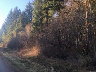 Photo 1: LT 1 Whitaker Rd in COURTENAY: CV Courtenay North Land for sale (Comox Valley)  : MLS®# 775604