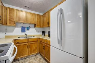 Photo 10: 104 420 GRIER Avenue NE in Calgary: Greenview House for sale