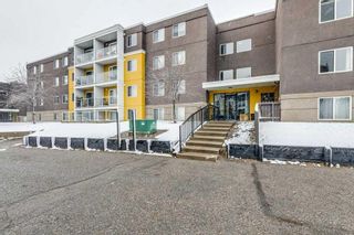 Photo 2: 412A 4455 Greenview Drive NE in Calgary: Greenview Apartment for sale : MLS®# A2124113