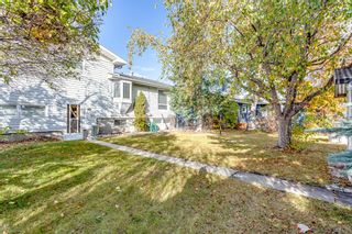 Photo 28: 31 Harley Road SW in Calgary: Haysboro Detached for sale : MLS®# A2009433
