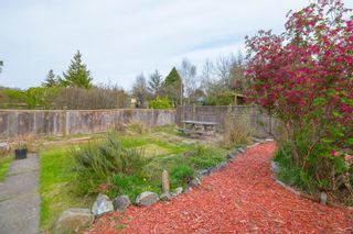 Photo 38: 3187 Fifth St in Victoria: Vi Mayfair House for sale : MLS®# 871250