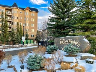 Photo 1: 111 10 Discovery Ridge Close SW in Calgary: Discovery Ridge Apartment for sale : MLS®# A1051537