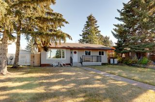 Photo 1: 1224 60 Street SE in Calgary: Penbrooke Meadows Detached for sale : MLS®# A2006159