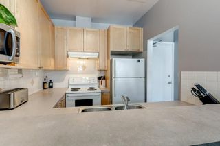 Photo 8: 206 4908 17 Avenue SE in Calgary: Forest Lawn Apartment for sale : MLS®# C4305197