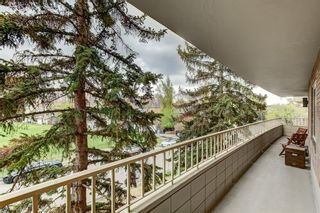 Photo 25: 301 629 Royal Avenue SW in Calgary: Upper Mount Royal Apartment for sale : MLS®# A2045250