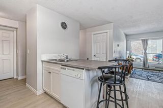 Photo 7: 110 5555 Falsbridge Drive NE in Calgary: Falconridge Apartment for sale : MLS®# A2018312