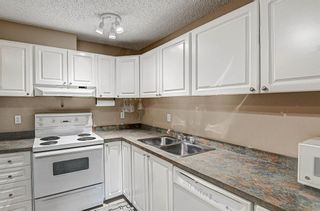 Photo 15: 3203 393 Patterson Hill SW in Calgary: Patterson Apartment for sale : MLS®# A2051640