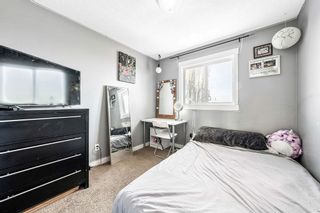 Photo 30:  in Calgary: Bridlewood Detached for sale : MLS®# A2021959