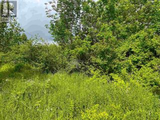 Photo 2: Lot Tupper Street in Milton: Vacant Land for sale : MLS®# 202214927