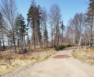 Photo 3: Lot 5 Highway 4 in Red Islands: 305-Richmond County / St. Peters Vacant Land for sale (Highland Region)  : MLS®# 202209581