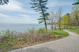 Photo 24: 38 Holyrood Avenue in Oakville: Old Oakville House (2-Storey) for sale : MLS®# W6041960