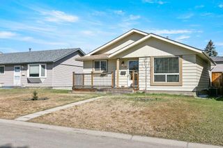 Photo 45: 19 Erin Park Bay SE in Calgary: Erin Woods Detached for sale : MLS®# A2125243